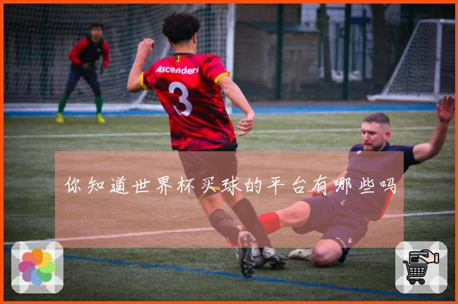 你知道世界杯买球的平台有哪些吗