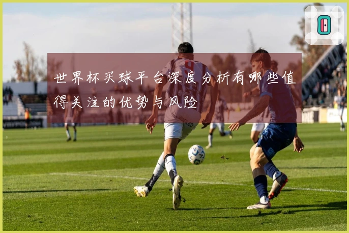 世界杯买球平台深度分析有哪些值得关注的优势与风险