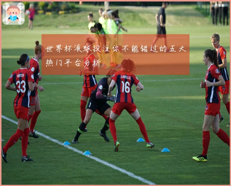 世界杯滚球投注你不能错过的五大热门平台分析