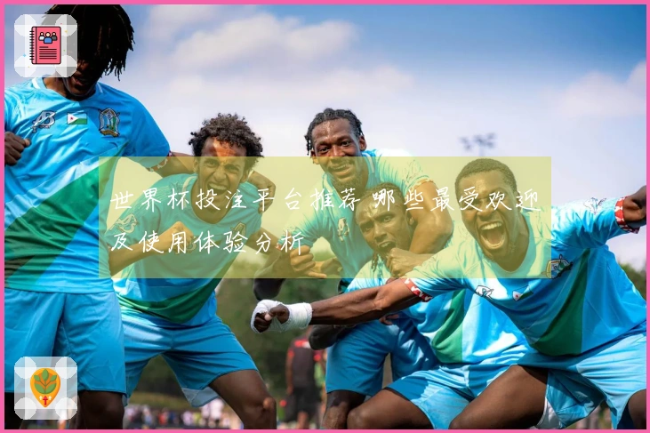 世界杯投注平台推荐 哪些最受欢迎及使用体验分析