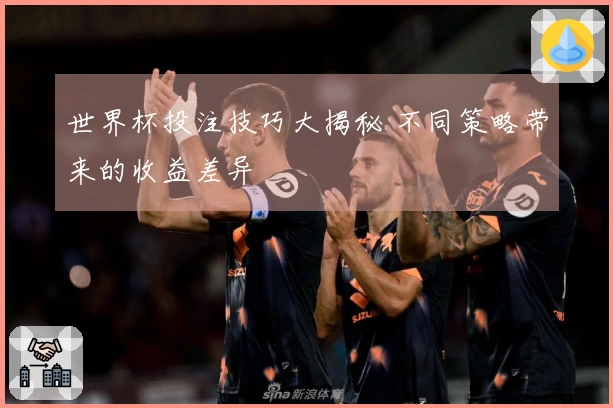 世界杯投注技巧大揭秘 不同策略带来的收益差异