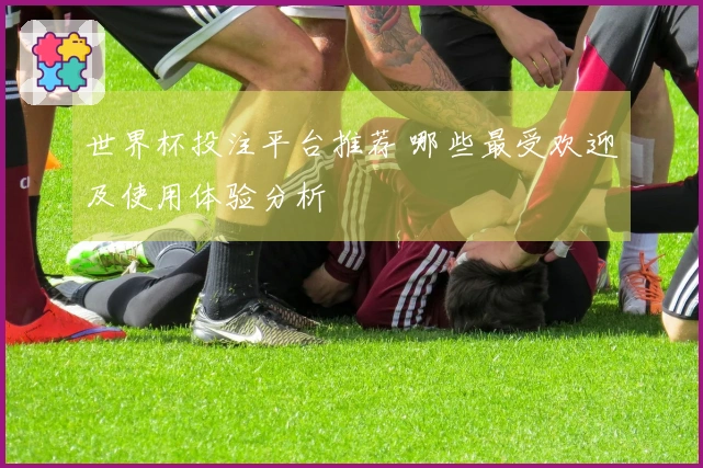 世界杯投注平台推荐 哪些最受欢迎及使用体验分析