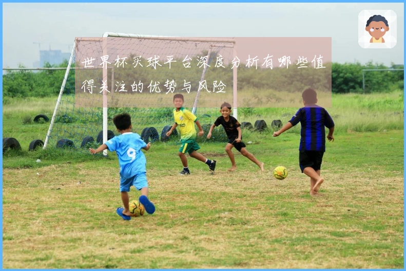 世界杯买球平台深度分析有哪些值得关注的优势与风险