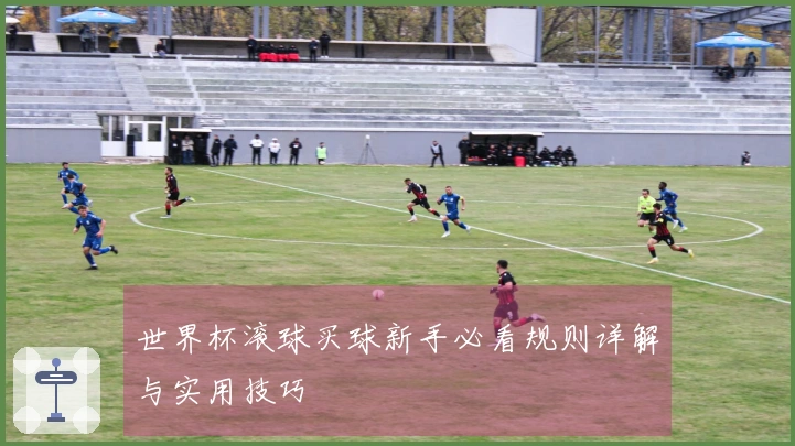 世界杯滚球买球新手必看规则详解与实用技巧