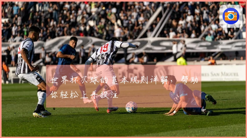 世界杯买球的基本规则详解，帮助你轻松上手投注