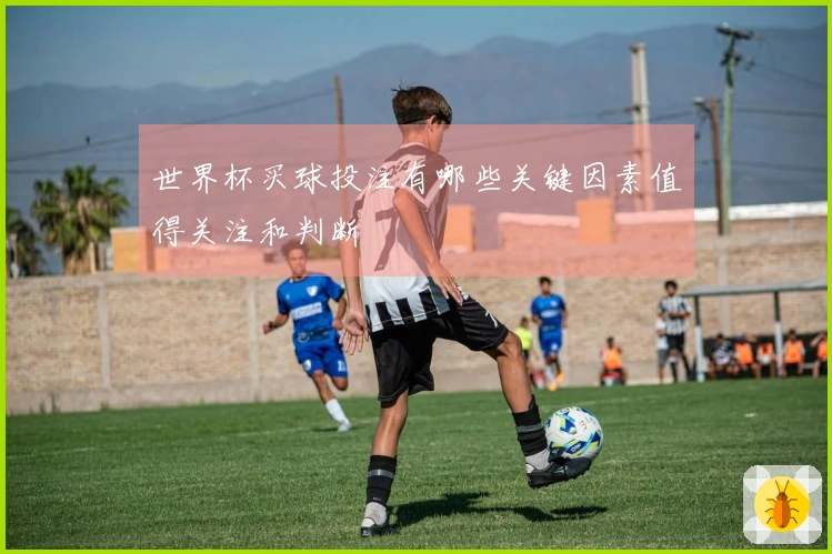 世界杯买球投注有哪些关键因素值得关注和判断