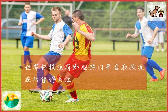 世界杯投注有哪些热门平台和投注技巧值得关注