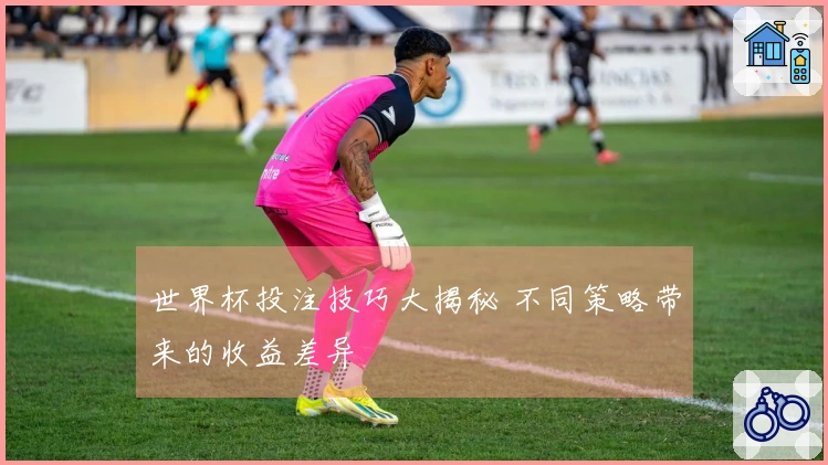 世界杯投注技巧大揭秘 不同策略带来的收益差异