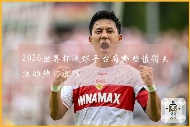 2026世界杯滚球平台有哪些值得关注的热门选项