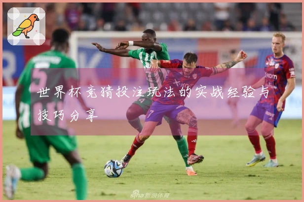 世界杯竞猜投注玩法的实战经验与技巧分享