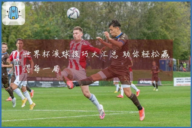 世界杯滚球技巧大汇总 助你轻松赢得每一局