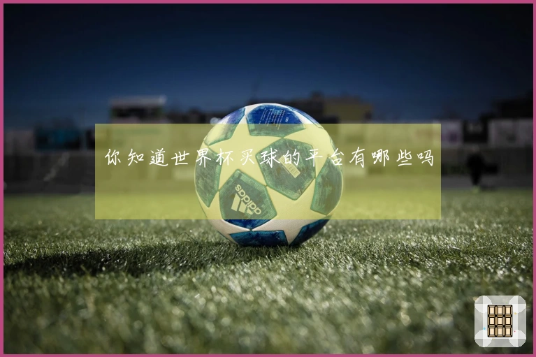 你知道世界杯买球的平台有哪些吗